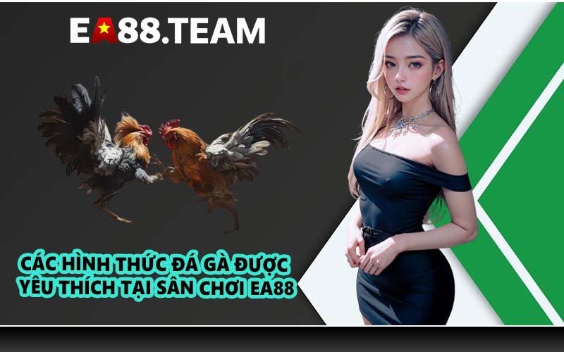 Các hình thức đá gà được yêu thích tại sân chơi EA88