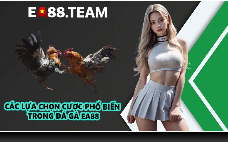 Các lựa chọn cược phổ biến trong đá gà EA88